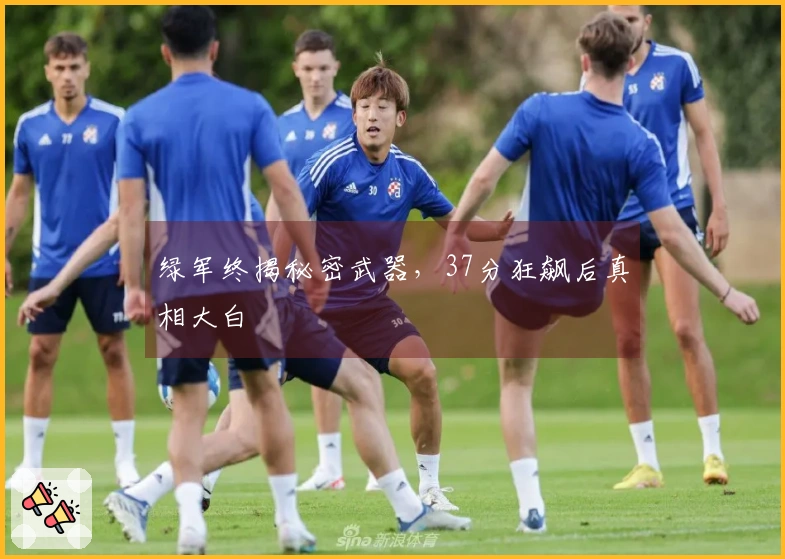 绿军终揭秘密武器，37分狂飙后真相大白